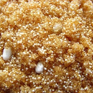 Ионообменная смола микс Ecvols SoftEx A+ удаление железа, марганца, сероводорода, жёсткости 1 литр